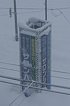 2005122302.jpg